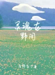 《灵魂在野间》