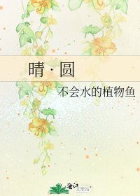 晴 · 圆