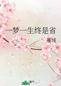 《一梦一生终是省》