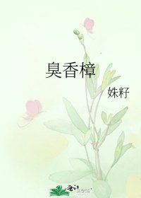 《臭香樟》