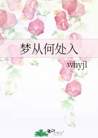 《梦从何处入》