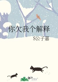 你欠我个解释