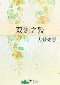 《双剑之殁》