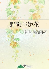 《野狗与娇花》