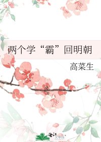 两个学“霸”回明朝
