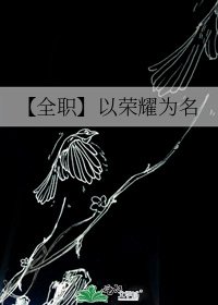 《【全职】以荣耀为名》