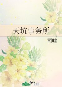 《天坑事务所》