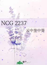 《NCG 2237》
