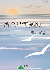《所念星河揽枕中》