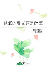 《缺氧的反义词是醉氧》