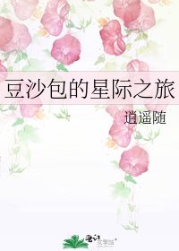《豆沙包的星际之旅》