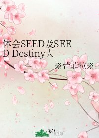 《体会SEED及SEED Destiny人物》