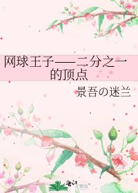 《网球王子——二分之一的顶点》