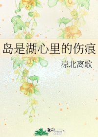 《岛是湖心里的伤痕》