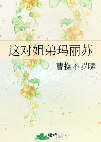 这对姐弟玛丽苏