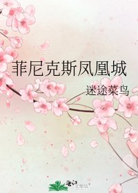 《菲尼克斯凤凰城》