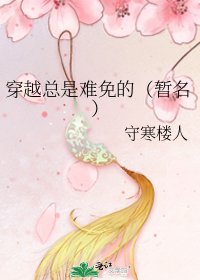 《穿越总是难免的(暂名)》
