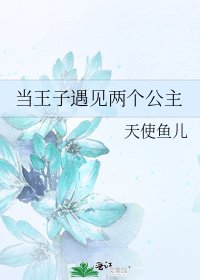 《当王子遇见两个公主》