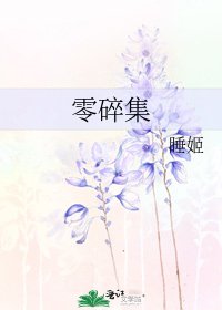 《零碎集》