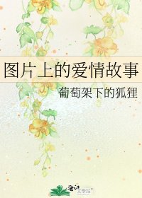 《图片上的爱情故事》