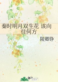 《秦时明月双生花 该向往何方》