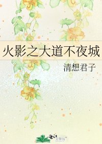《火影之大道不夜城》
