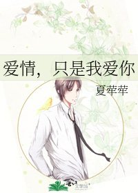 爱情，只是我爱你