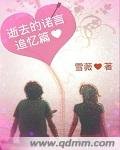 《逝去的诺言追忆篇》