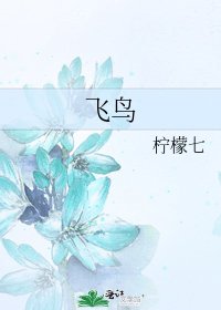 《飞鸟》