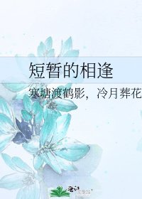 《短暂的相逢》