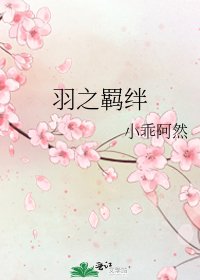 《羽之羁绊》