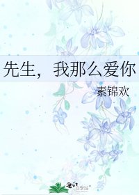 《先生,我那么爱你》