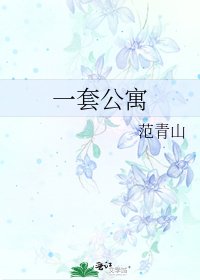 《一套公寓》