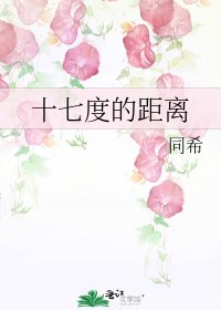 《十七度的距离》