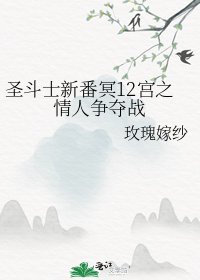 《圣斗士新番冥12宫之情人争夺战》