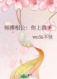 《师傅相公:你上我下》