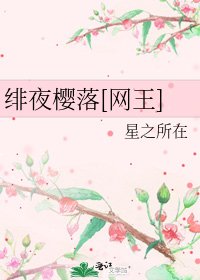 绯夜樱落[网王]