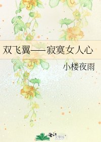 《双飞翼——寂寞女人心》