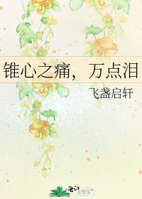 《锥心之痛,万点泪》