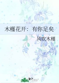 《木槿花开:有你足矣》