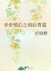 《步步惊心之雨后青蓝》