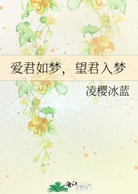 《爱君如梦,望君入梦》