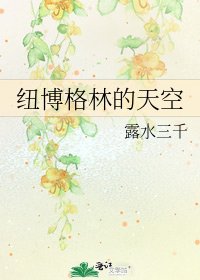 《纽博格林的天空》