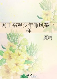 《网王裕观少年像风筝一样》