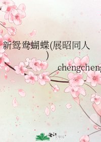 《新鸳鸯蝴蝶(展昭同人)》