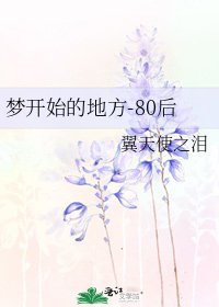 《梦开始的地方-80后》