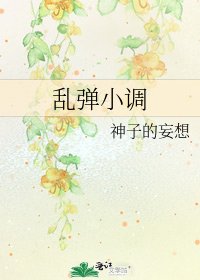 《乱弹小调》
