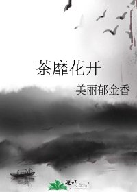 《茶靡花开》