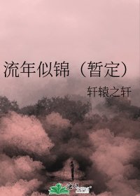 《流年似锦(暂定)》
