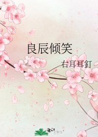 《良辰倾笑》